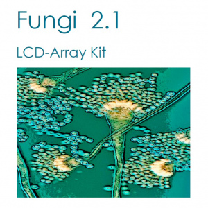 Fungi 2.1 LCD-Array Kit